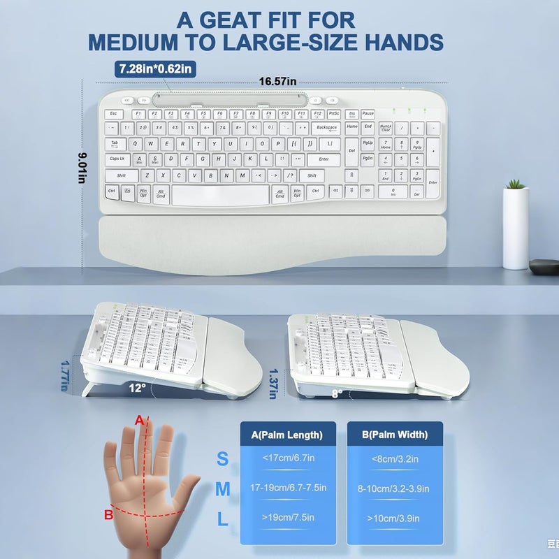 EAYBLLY Ergonomic Wireless Keyboard with Cushioned Wrist Rest, Wave Keys, Phone Holder, Comfortable Natural Typing, 2.4GHz Full Size Cordless USB Computer Keyboard for Windows, Mac OS, Laptop, PC (White) - Image 2